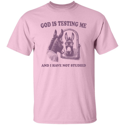 God is Testing Me And I Have Not Studied Purple Tee Tshirt Men's Women's Gifts Unisex T-Shirts