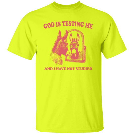 God is Testing Me And I Have Not Studied Orange-Red Tee Tshirt Men's Women's Gifts Unisex T-Shirts